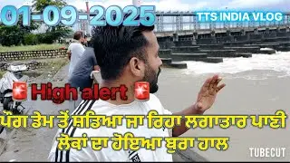 52 gate Talwara ||pong dam|| 01-09-2025#talwara #flood #floodalert #floodarea #floodpunjab 