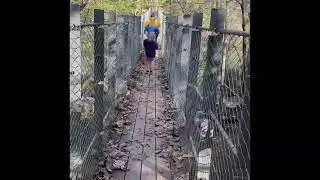 Suspension Bridge at Fall Creek Falls (Cane Creek)