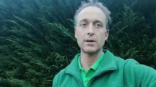 Mr Green vi parla delle siepi di Leylandii