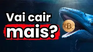 URGENTE: NOVA BALEIA APOSTA NA QUEDA DO BITCOIN (BTC)! + an&aacute;lise ethereum (ETH), SOL, criptomoedas