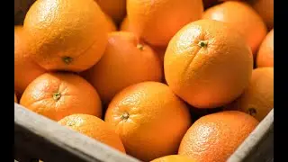 Fact check on #Orange #fact #shorts #youtubeshorts #empoweru #kids #health #hindi