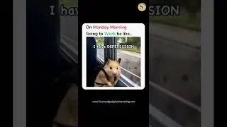 Monday Morning Going to Office Be Like | Future Edge | Best Digital Marketing Agency in Kanpur #dm