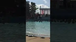WAVE POOL PARTY 2022 AYIA NAPA CYPRUS #SHORTS #SHORT