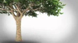 The Longevity Project --  TRAILER