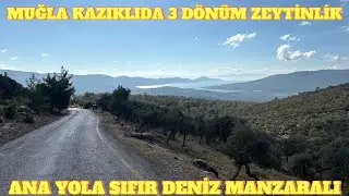 muğla milas kazıklıda yatırımlık 3 dönüm zeytinlik ana yola sıfır full deniz manzaralı#muğla #milas