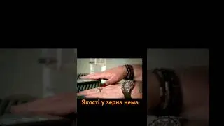 якості у зерна нема