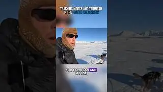 Arctic Hunting: Tracking Moose And Tarmigan In The Frozen Wilderness [@OutdoorBoys] #shorts