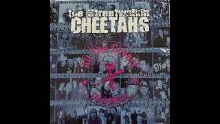 Street Walkin' Cheetahs[Feat. Wayne Kramer & Jeff Dahl] - Tutti Frutti [cover]