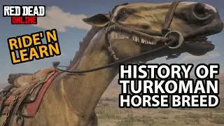History of Turkoman Horse Breed Ride 'n Learn in Red Dead Online