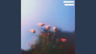 Loneliness