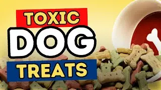 Toxic Dog Treats You Should NEVER Give Your Pet