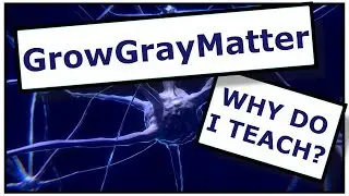 My Teaching Philosphy:  Why Do I Teach?