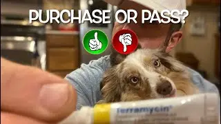 Review of Terramycin Antibiotic Ointment Eye Infection Treatment For Pets