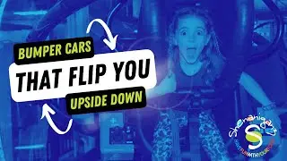 Flip N' Spin Bumper Cars