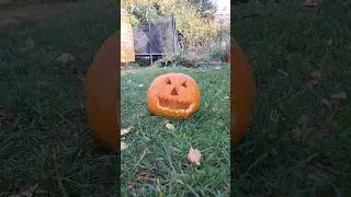Destroying a pumkin with Thor's Hammer