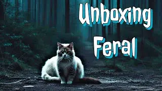 Feral Mystery: Exclusive Covers Unboxed! | BBB Comics