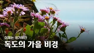 독도에 찾아온 가을🍁 [이제는 국가유산]