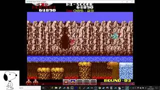 MAME - Rygar - 444,160