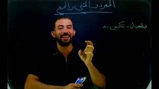 درس المفرد والمثنى للصف الرابع الابتدائي 