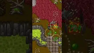 Armor 99 + warden against Abominatio spell  #rpg #tibiame