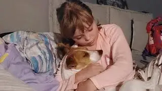How to make your dog to sleep!