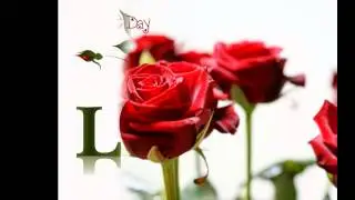Rose Day 2015 | Rose Day 2015 Images,Wallpaper