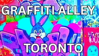 Toronto Street Art Tour | Exploring Graffiti Alley