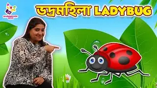 Ladybug Facts | ভদ্রমহিলা | Insect Fact | Body Parts | Nursery Rhymes | Learning Box by Puntoon Kids