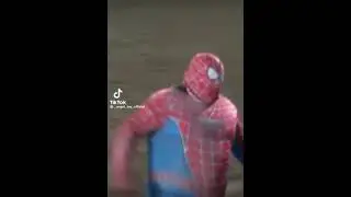 Fat spiderman
