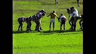 Berowra Wallabies A Reserve v Hornsby 32-8 16 June 1991
