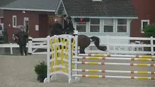 Tropicool - 5 Year Old Young Jumpers Devon Horse Show 2019