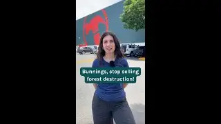 Bunnings, stop selling forest destruction!
