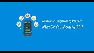 Application Programming Interface | What do mean by API | JSON Format | Programming