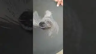 Shocking Gold Discovery! Man Finds Gold in River Sand