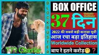 777 Charlie 37 Day Box Office Collection, 777 Charlie Box Office Collection Kannada, Hindi, Telugu,