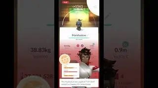 How good was your #marshadow ? 🥊 👻 #pokemongo #pogo #pokemon #gofest #ytshorts