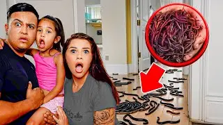 We FOUND WORMS inside our Daughter’s Room!