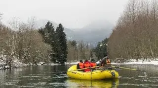 Bald Eagle Float Tour with Sunwolf in Squamish British Columbia Canada