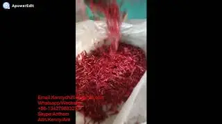 DC-500C chili pepper dry cleaning machine, dry chili cleaner washer equipment