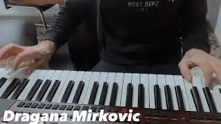Dragana Mirkovic  Dolina kestenova ( audio1997 )
