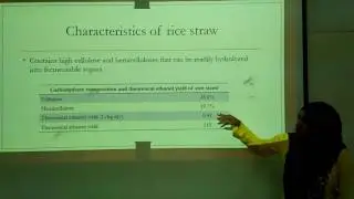 CAT4106 - Presentation Bioethanol Production from Rice Straw (G1)