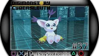 Digimon Story: Cyber Sleuth - Part 37 -- The Colosseum! Bronze, Silver, and Gold Cups!