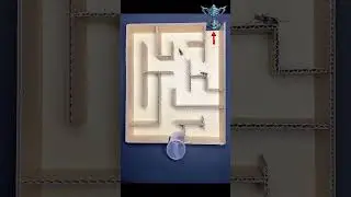 Maze Race Between Two Bugs