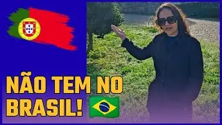 O BRASIL NÃO TEM ISSO! 🇧🇷 5 Curiosidades CHOCANTES que encontramos em Portugal!