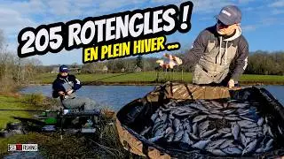 200 Rotengles en Hiver &agrave; l'anglaise : Technique, Astuces & Gros R&eacute;sultats !