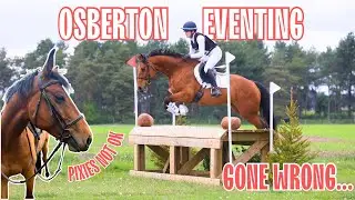 OSBERTON EVENTING! GONE WRONG Again! Pixie isn’t right…. | tarabrowneventing