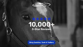 Coolhorse Reviews