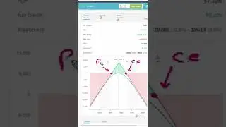 Safest Iron Fly Adjustments | Hedge Trades | Quantalgos