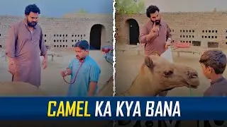 Camel Ka Kia Bana Wait For End😂😂