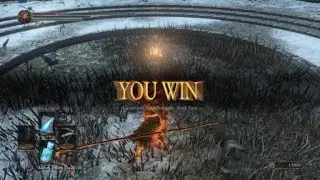 DARK SOULS&trade; III_20210129201716